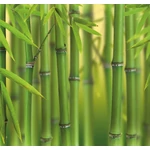 HB SPC/vinyl vízálló fali panel, Bamboo Sprouts (2605 x 2802 mm)