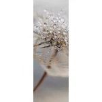 HB SPC/vinyl vízálló fali panel, Delicate Dry Grass Branch (2605 x 934 mm)