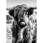 HB SPC/vinyl vízálló fali panel, Highlander (2605 x 1868 mm)