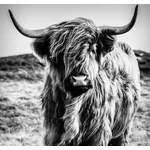 HB SPC/vinyl vízálló fali panel, Highlander (2605 x 2802 mm)