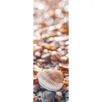 HB SPC/vinyl vízálló fali panel, Shells on the Beach (2605 x 934 mm)