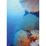 HB SPC/vinyl vízálló fali panel, Red Sea Coral (2605 x 1868 mm)