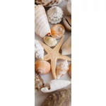 HB SPC/vinyl vízálló fali panel, Seashells and Starfish (2605 x 934 mm)
