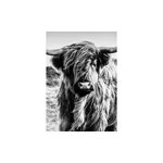 HDM SPC/vinyl vízálló fali panel, Highlander (2605 x 1840 mm)