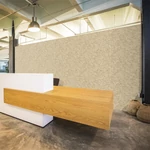 HB SPC/vinyl vízálló fali panel, OSB Wood