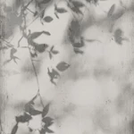 FLAVIKER Art Walls Shadow Nat./Ret. burkolólap 60x120