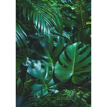 HB SPC/vinyl vízálló fali panel, Tropical Forest Leaves (2605 x 1868 mm)