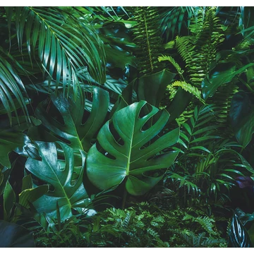 HB SPC/vinyl vízálló fali panel, Tropical Forest Leaves (2605 x 2802 mm)