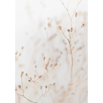 HB SPC/vinyl vízálló fali panel, Dry Grass Branches (2605 x 1868 mm)