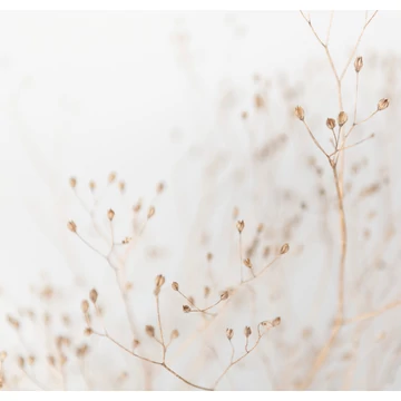 HB SPC/vinyl vízálló fali panel, Dry Grass Branches (2605 x 2802 mm)
