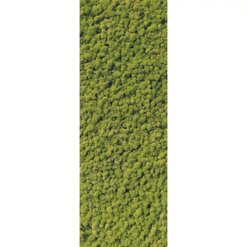 HB SPC/vinyl vízálló fali panel, Moss (2605 x 934 mm)