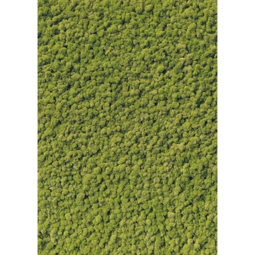 HB SPC/vinyl vízálló fali panel, Moss (2605 x 1868 mm)