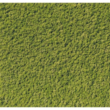 HB SPC/vinyl vízálló fali panel, Moss (2605 x 2802 mm)