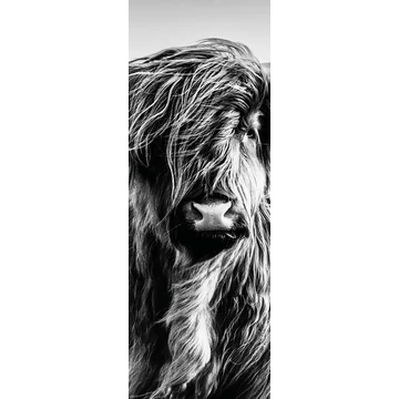 HB SPC/vinyl vízálló fali panel, Highlander (2605 x 934 mm)