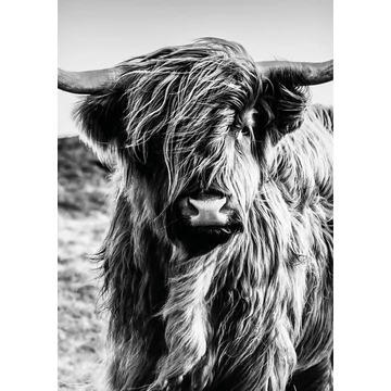 HB SPC/vinyl vízálló fali panel, Highlander (2605 x 1868 mm)