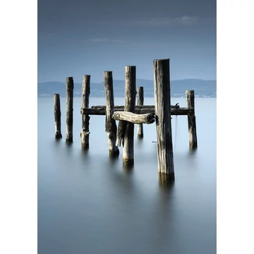 HB SPC/vinyl vízálló fali panel, Wood Trunks in Smooth Water (2605 x 1868 mm)