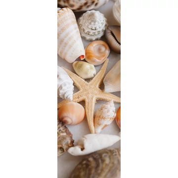HB SPC/vinyl vízálló fali panel, Seashells and Starfish (2605 x 934 mm)