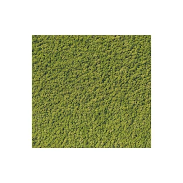 HDM SPC/vinyl vízálló fali panel, Moss (2605 x 2760 mm)