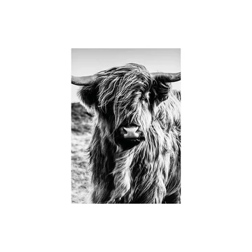 HDM SPC/vinyl vízálló fali panel, Highlander (2605 x 1840 mm)
