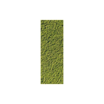 HDM SPC/vinyl vízálló fali panel, Moss (2605 x 920 mm)