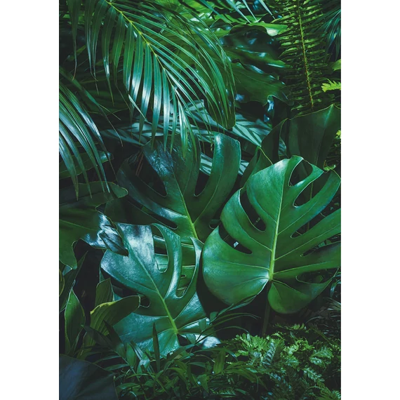 HB SPC/vinyl vízálló fali panel, Tropical Forest Leaves (2605 x 1868 mm)