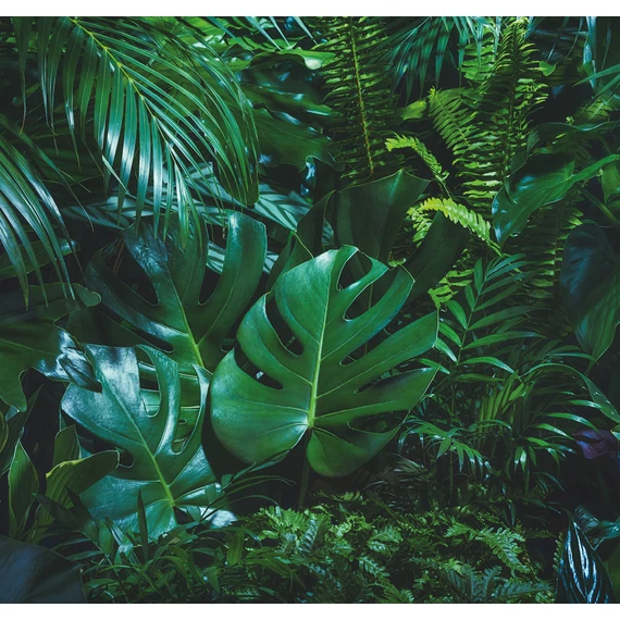 HB SPC/vinyl vízálló fali panel, Tropical Forest Leaves (2605 x 2802 mm)