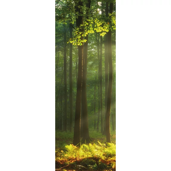 HB SPC/vinyl vízálló fali panel, Sunny Forest (2605 x 934 mm)