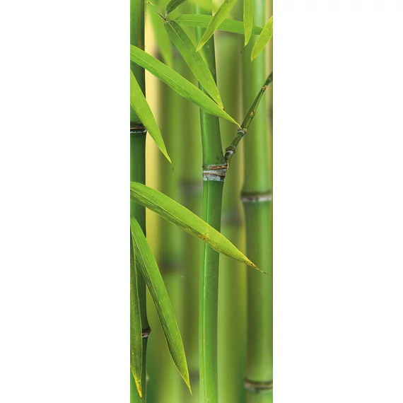 HB SPC/vinyl vízálló fali panel, Bamboo Sprouts (2605 x 934 mm)