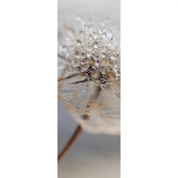 HB SPC/vinyl vízálló fali panel, Delicate Dry Grass Branch (2605 x 934 mm)