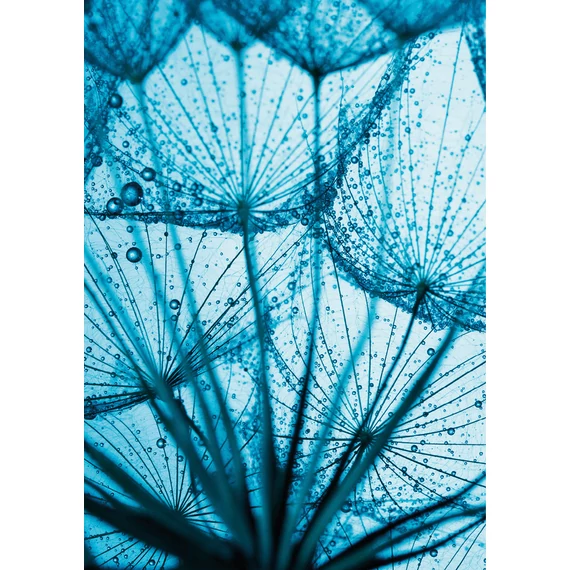 HB SPC/vinyl vízálló fali panel, Taraxamcum with Dew Drops (2605 x 1868 mm)