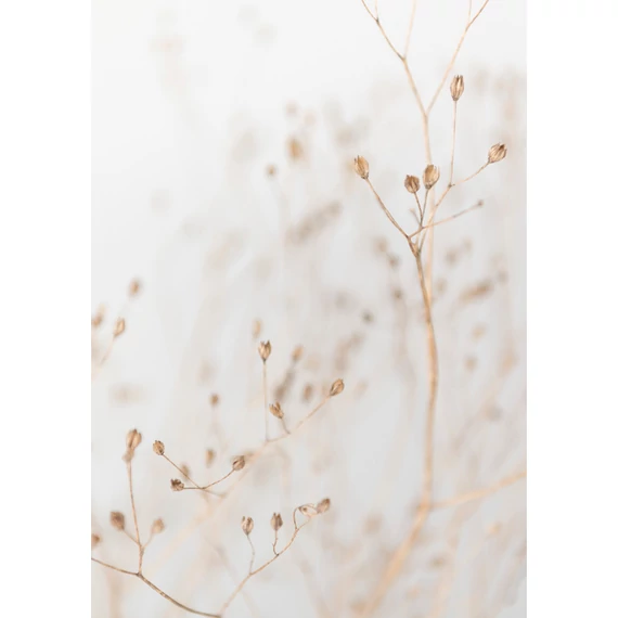 HB SPC/vinyl vízálló fali panel, Dry Grass Branches (2605 x 1868 mm)
