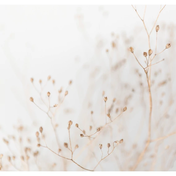 HB SPC/vinyl vízálló fali panel, Dry Grass Branches (2605 x 2802 mm)