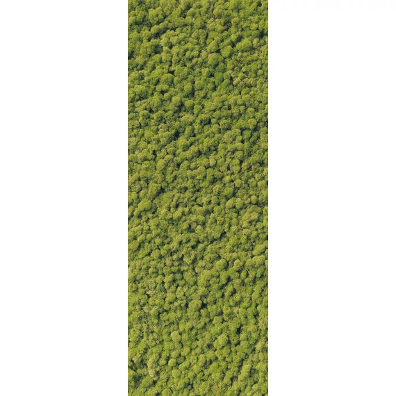 HB SPC/vinyl vízálló fali panel, Moss (2605 x 934 mm)