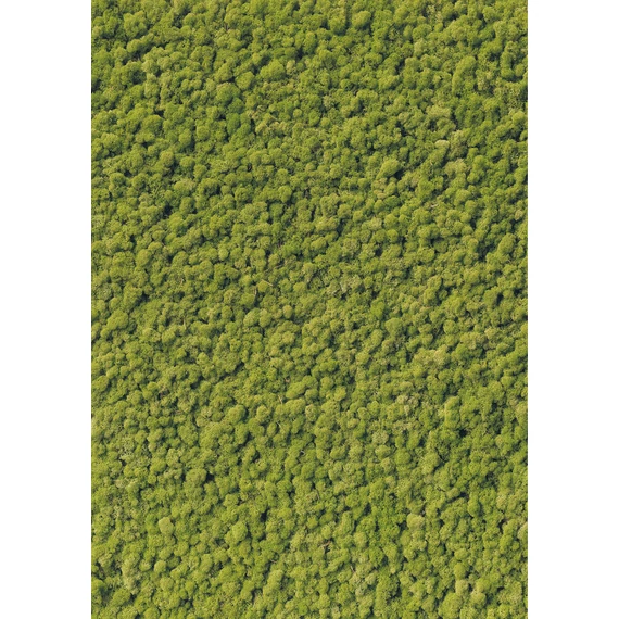 HB SPC/vinyl vízálló fali panel, Moss (2605 x 1868 mm)