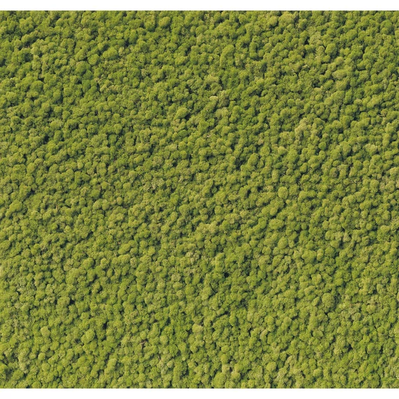 HB SPC/vinyl vízálló fali panel, Moss (2605 x 2802 mm)