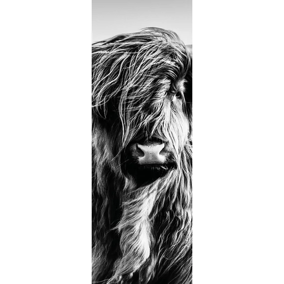 HB SPC/vinyl vízálló fali panel, Highlander (2605 x 934 mm)