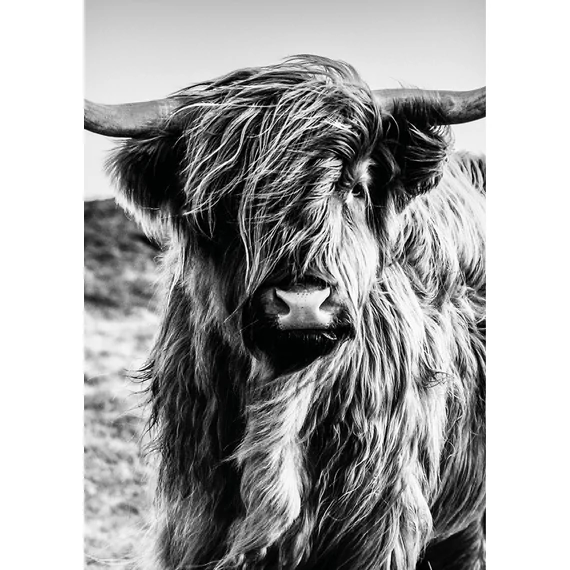 HB SPC/vinyl vízálló fali panel, Highlander (2605 x 1868 mm)