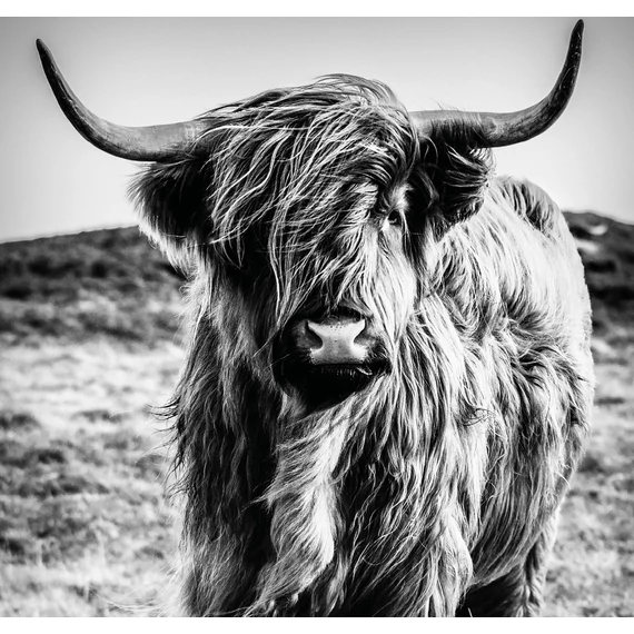 HB SPC/vinyl vízálló fali panel, Highlander (2605 x 2802 mm)