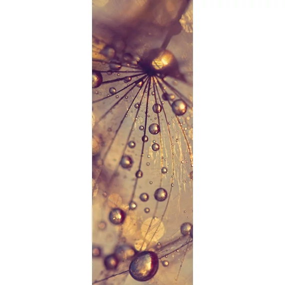 HB SPC/vinyl vízálló fali panel, Dandelion with Golden Drops (2605 x 934 mm)