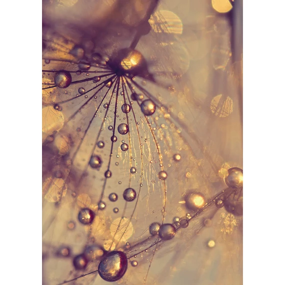 HB SPC/vinyl vízálló fali panel, Dandelion with Golden Drops (2605 x 1868 mm)
