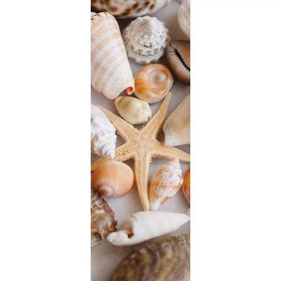 HB SPC/vinyl vízálló fali panel, Seashells and Starfish (2605 x 934 mm)