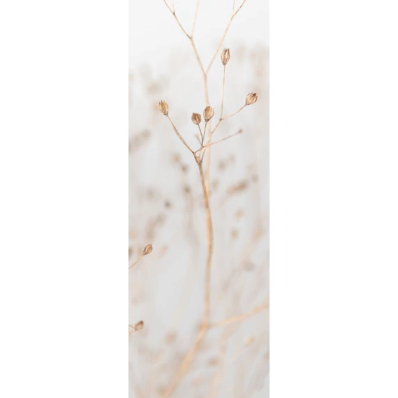 HDM SPC/vinyl vízálló fali panel, Dry Grass Branches (2605 x 920 mm)
