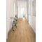 EGGER CLASSIC 8/33 4V AQ Honey Predaia Oak Laminált padló EL2009